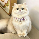 Lolita-style lace pearl cat necklace pet dog collar
